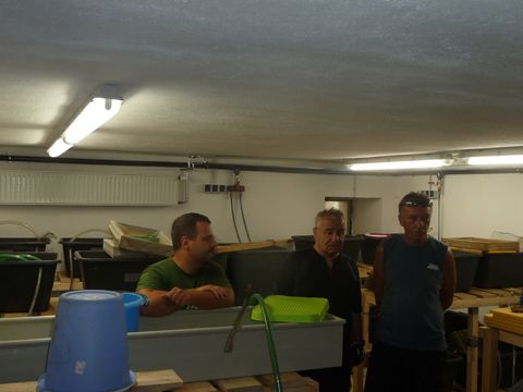 Foto 53